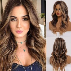 24" Brown Ombre Wavy Wig